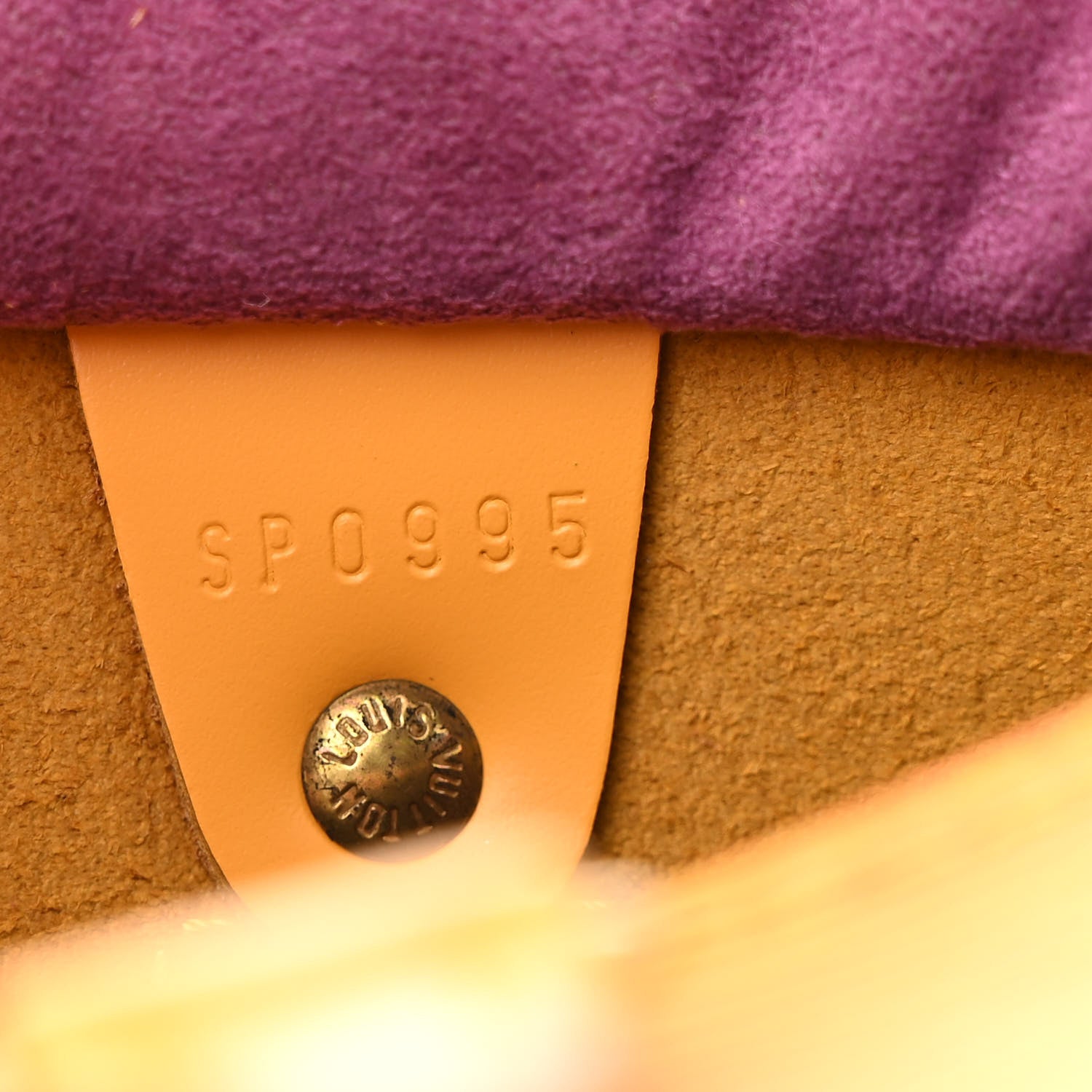 Louis Vuitton Epi Speedy 25 Tassil 7 of 14
