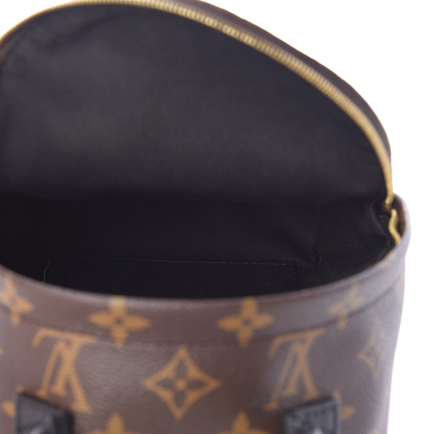Monogram Palm Springs Backpack Mini
