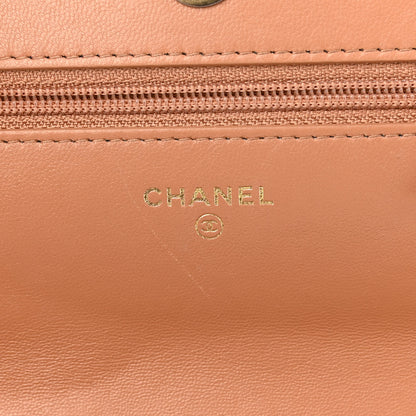 Chanel Lambskin Quilted Chanel 19 Wallet On Chain WOC Brown 6 of 13