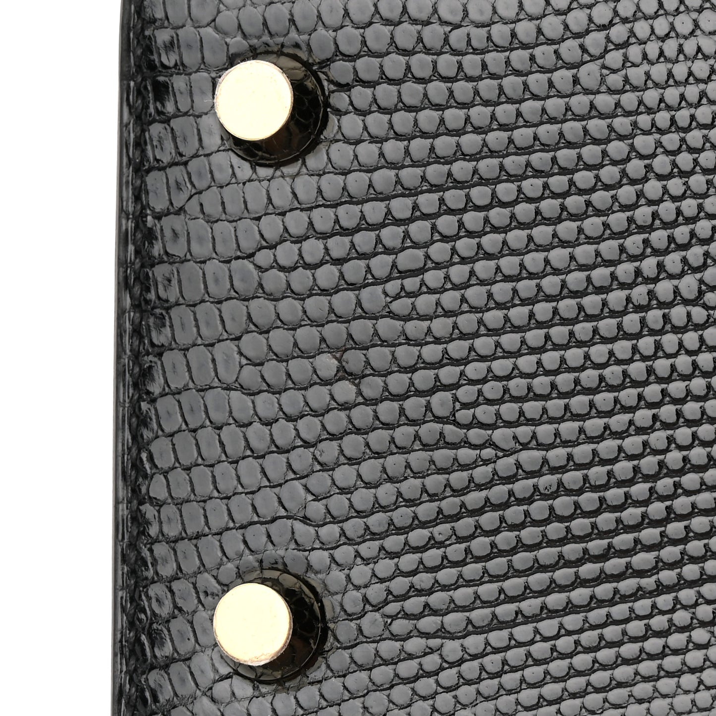 Lizard Niloticus Kelly Sellier 25 Black