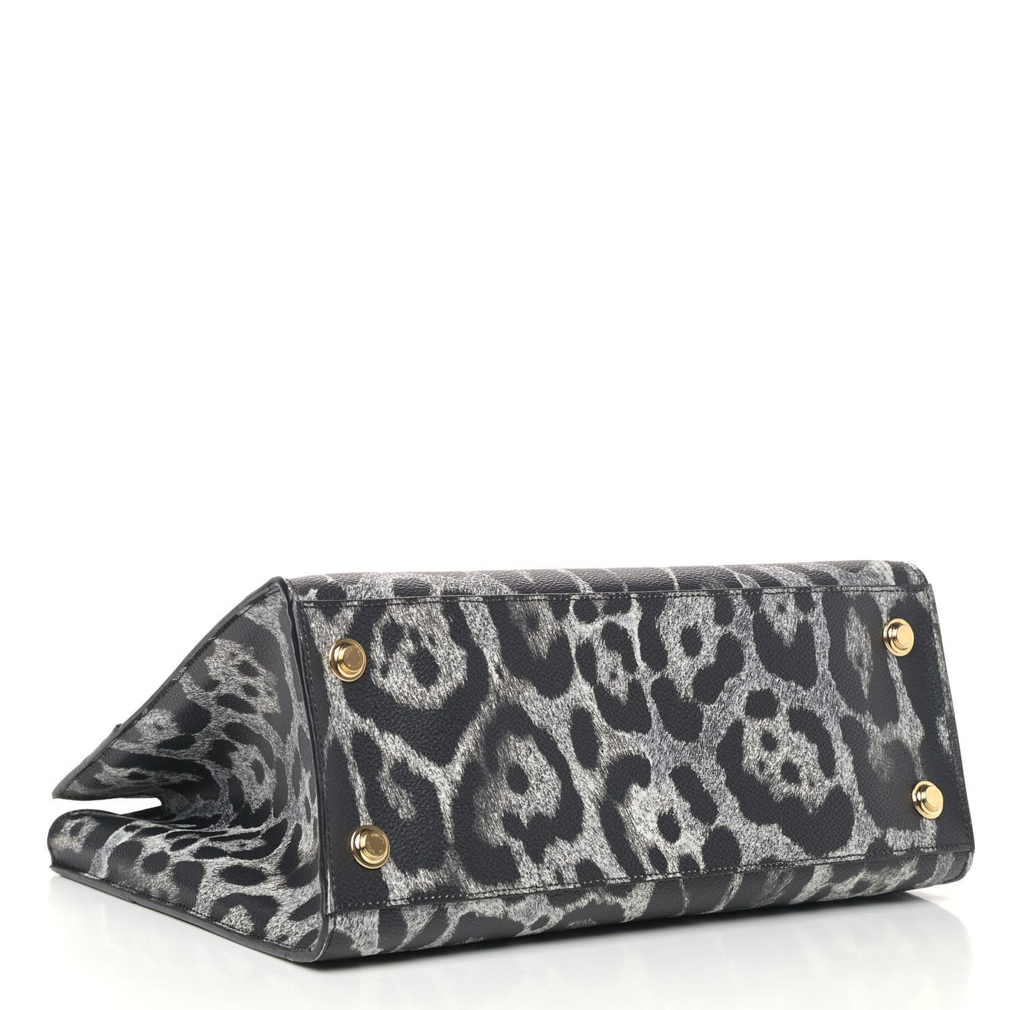 Canvas Calfskin Wild Animal Print City Steamer MM Black
