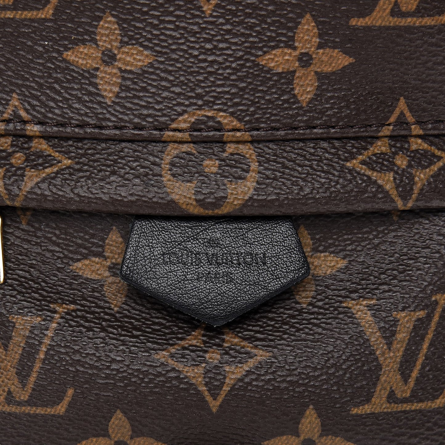Monogram Palm Springs Backpack Mini