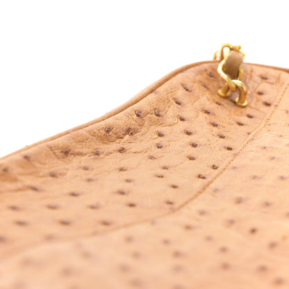 Chanel Ostrich Tassel Camera Case 17 of 18