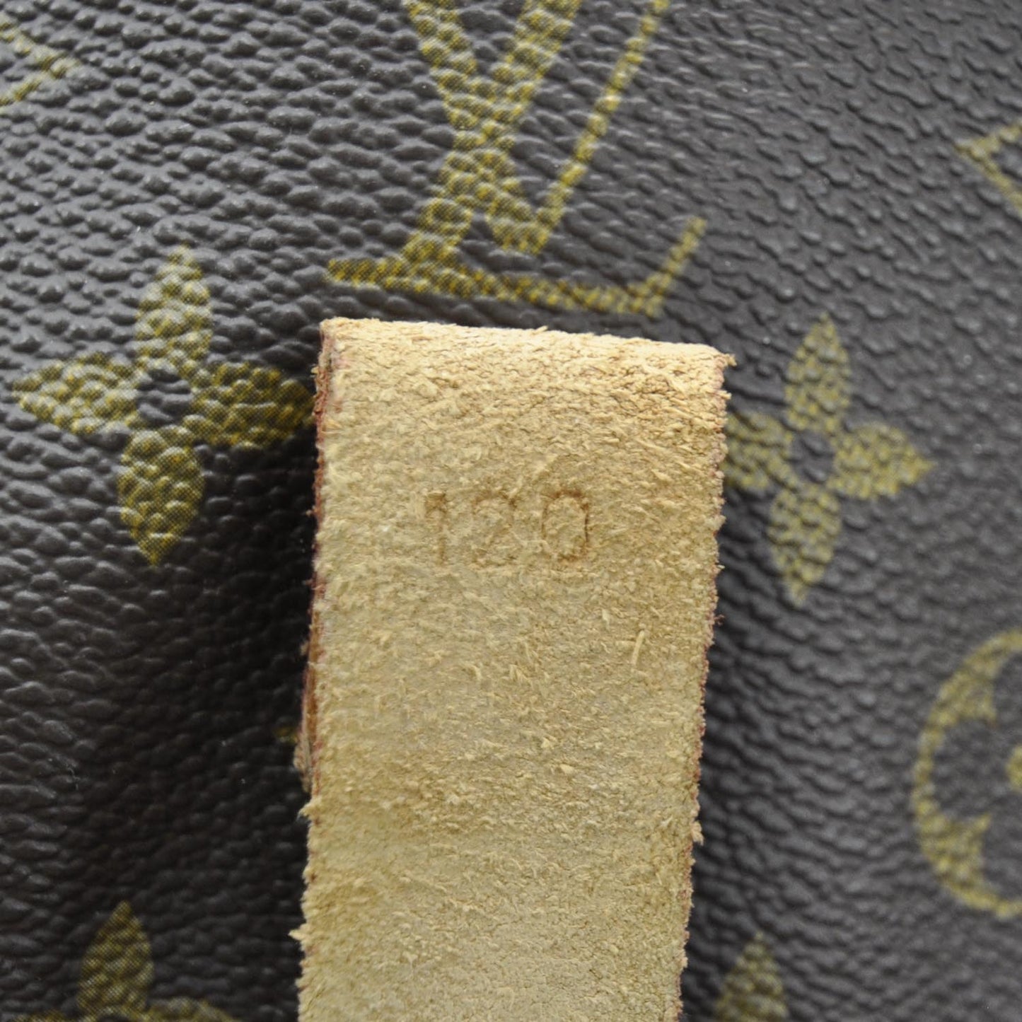 Monogram Garment Cover