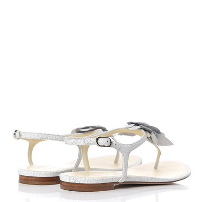 Chanel Crackled Lambskin Camellia Thong Sandals 39.5 White 4 of 11