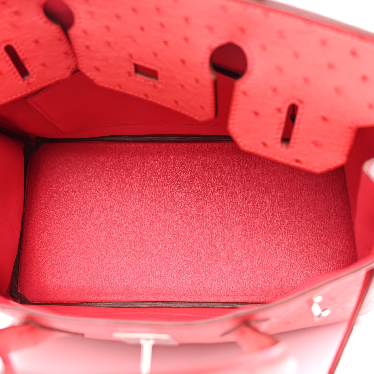 Ostrich Birkin 30 Bougainvillea