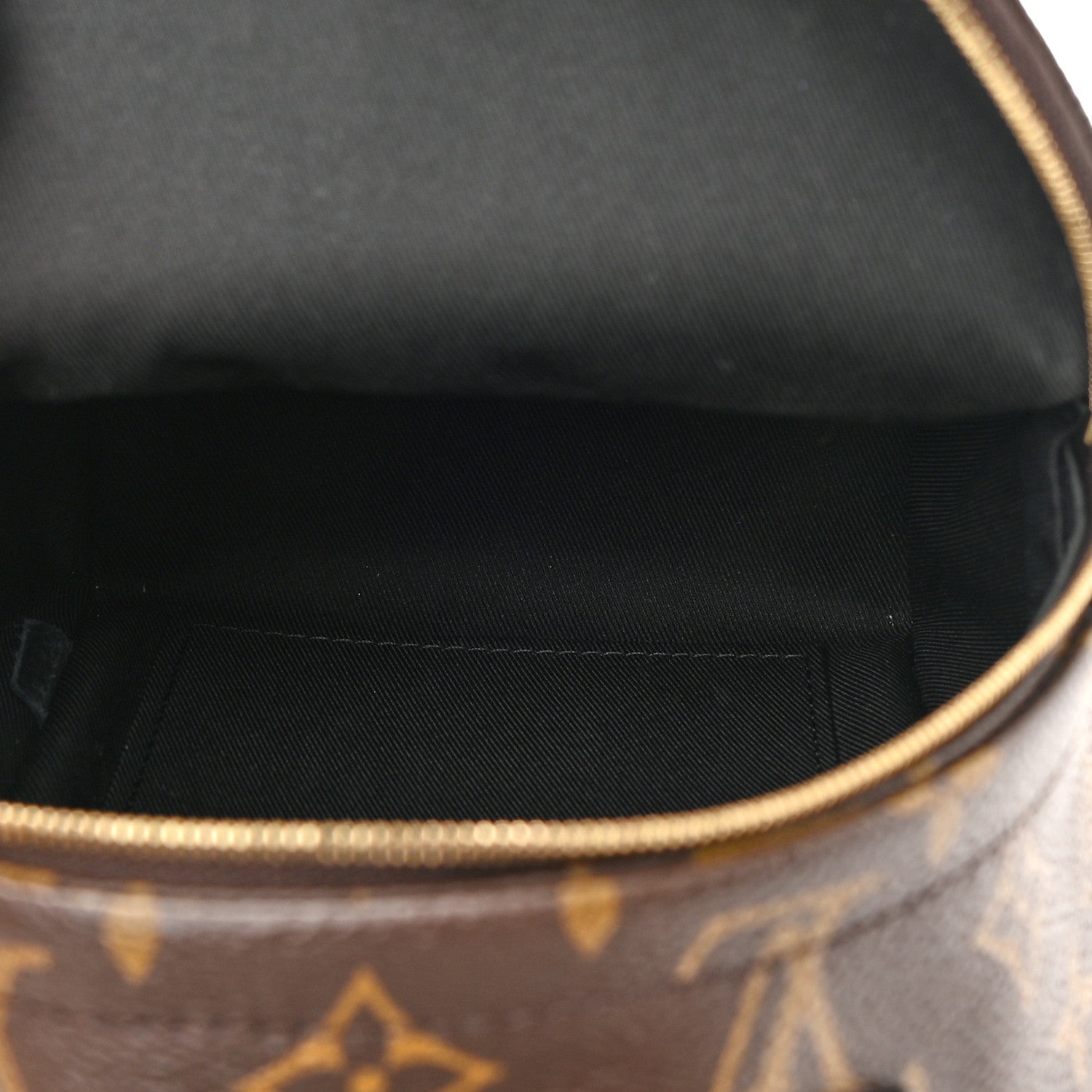 Louis Vuitton Monogram Palm Springs Backpack Mini 5 of 14