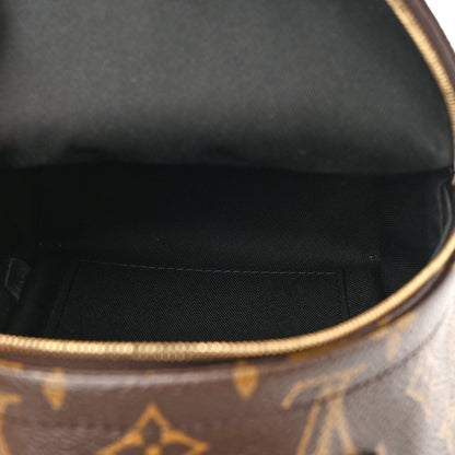 Louis Vuitton Monogram Palm Springs Backpack Mini 5 of 14