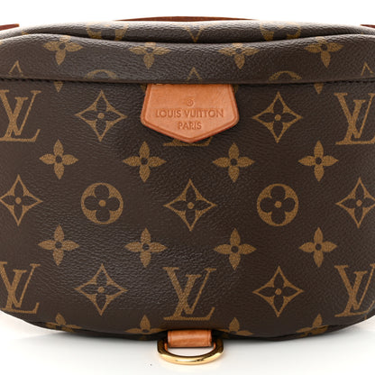 Louis Vuitton Monogram Bumbag 8 of 11