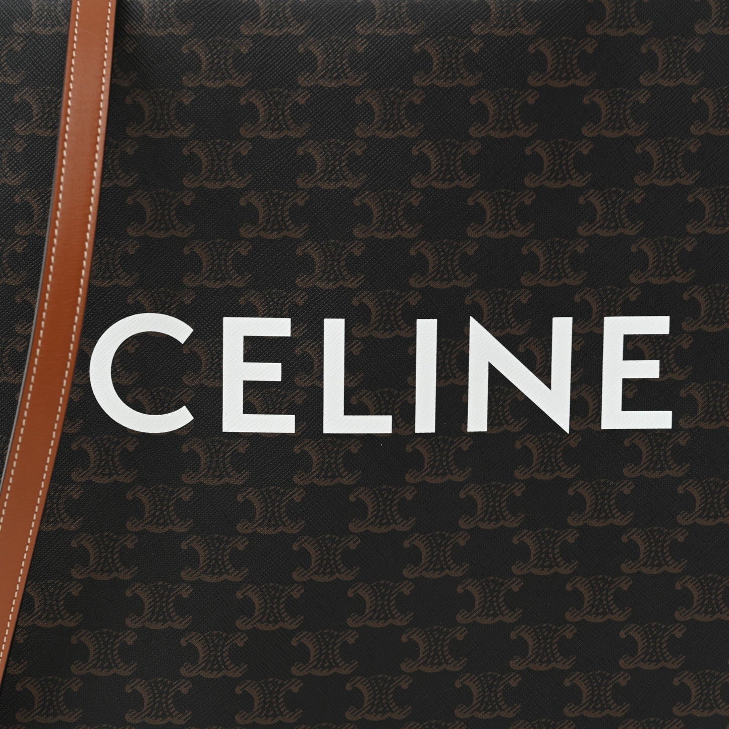 Triomphe Canvas Calfskin Small Vertical Cabas Tan