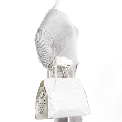 Goyard Goyardine Sac Hardy Pet Carrier PM White 2 of 9