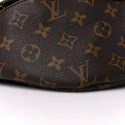 Louis Vuitton Monogram Bumbag 8 of 13