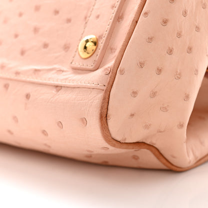 Louis Vuitton Ostrich Frame Speedy Pink 11 of 13