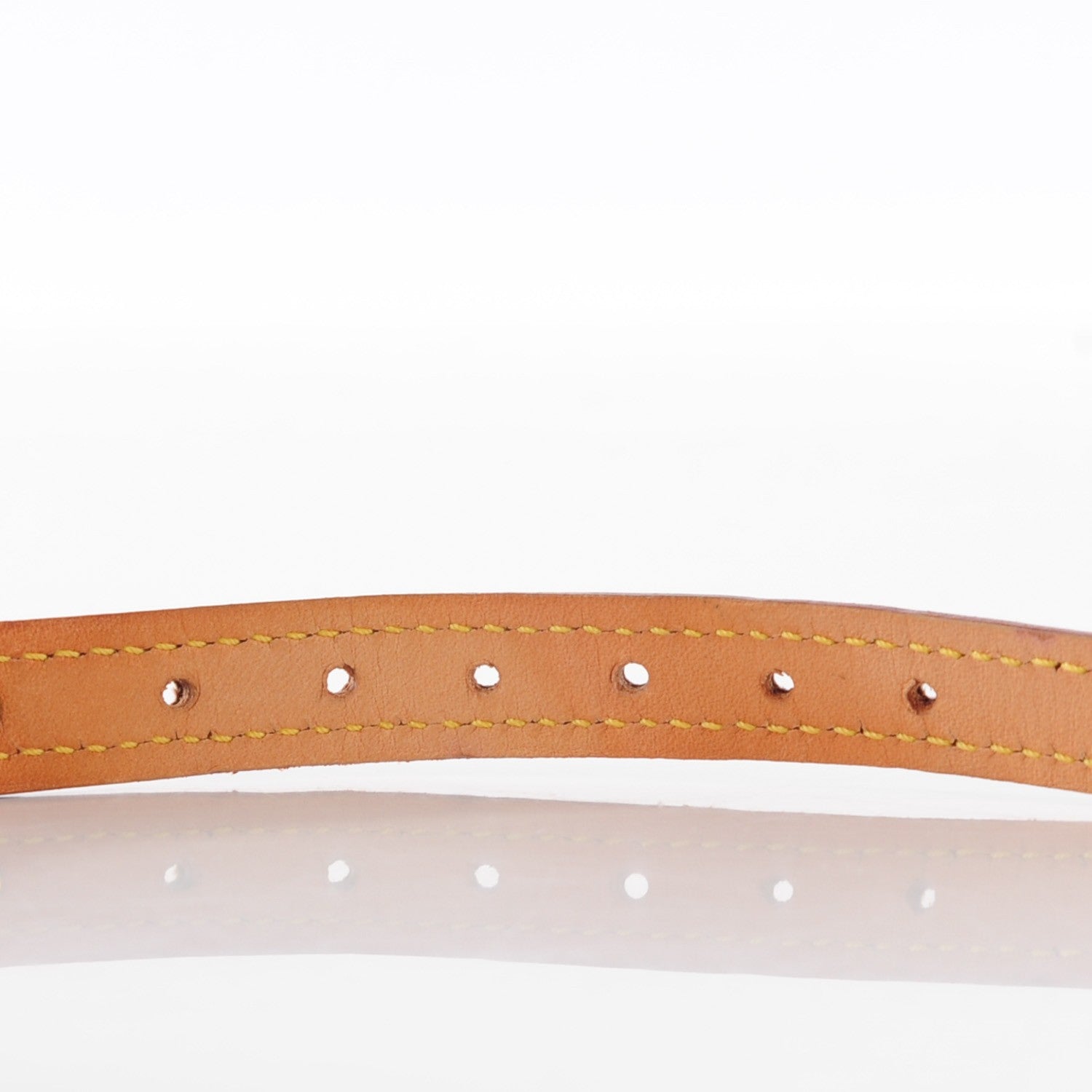 Louis Vuitton Monogram Baxter Dog Collar PM 5 of 8