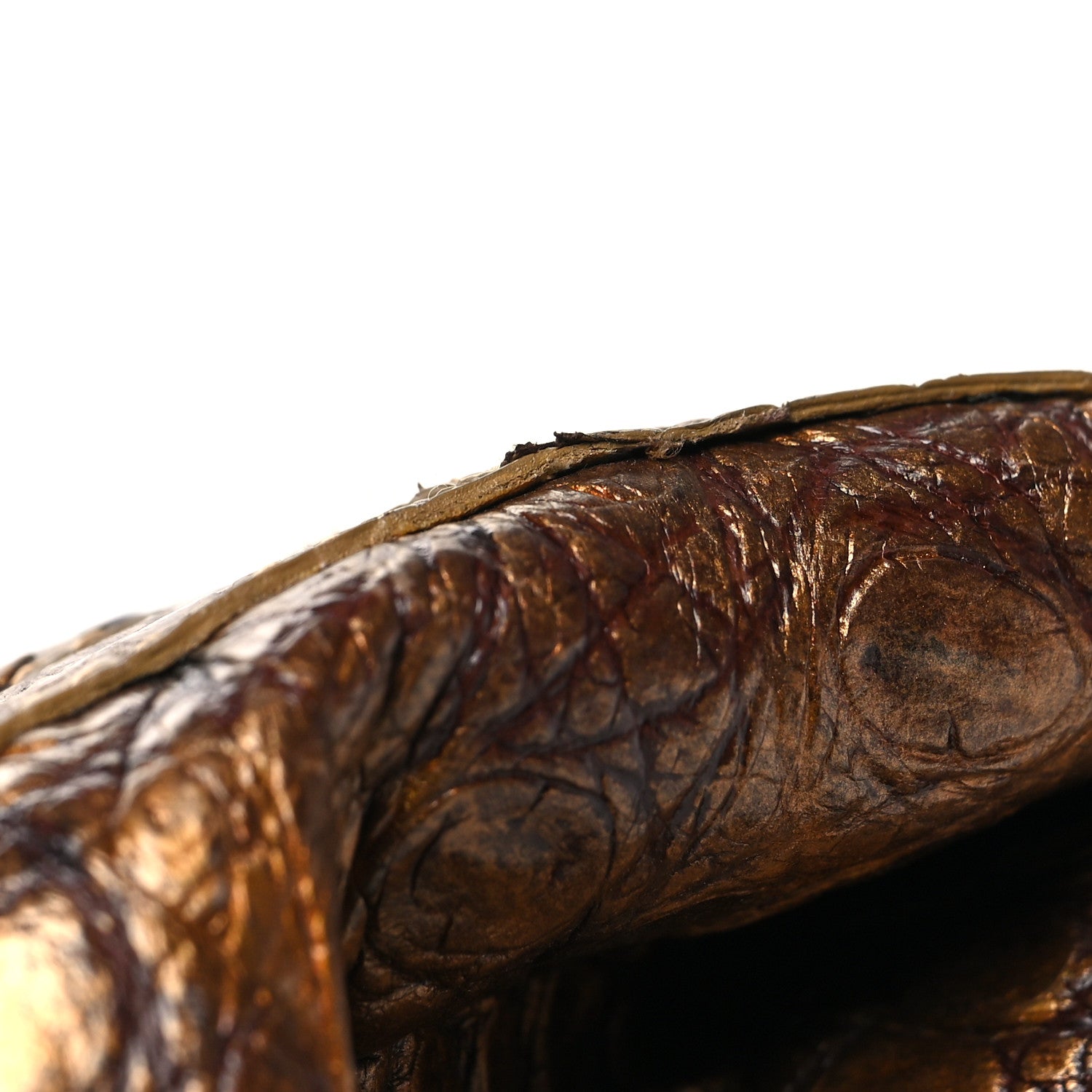Nancy Gonzalez Metallic Crocodile Clutch Gold 12 of 13