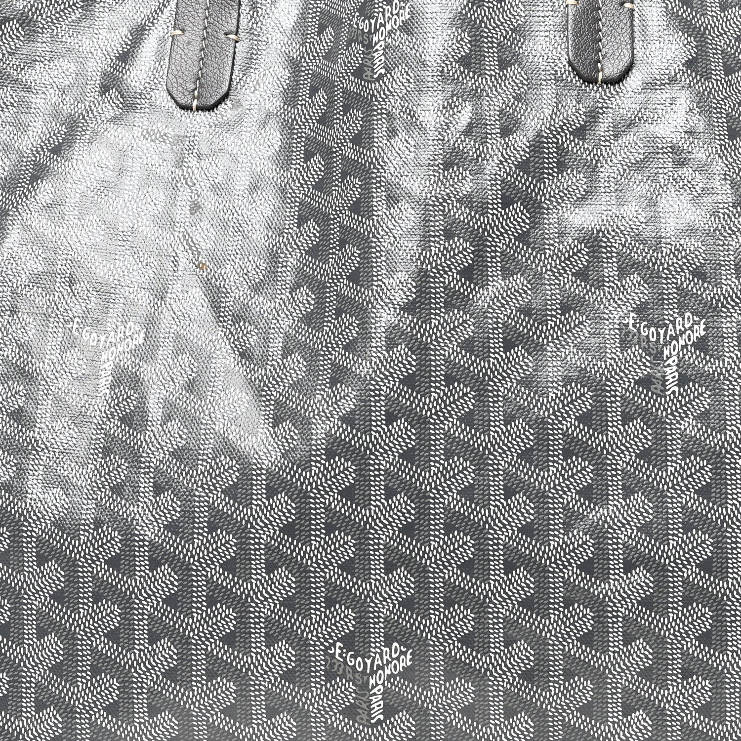 Goyard Goyardine Saint Louis PM Grey 9 of 13