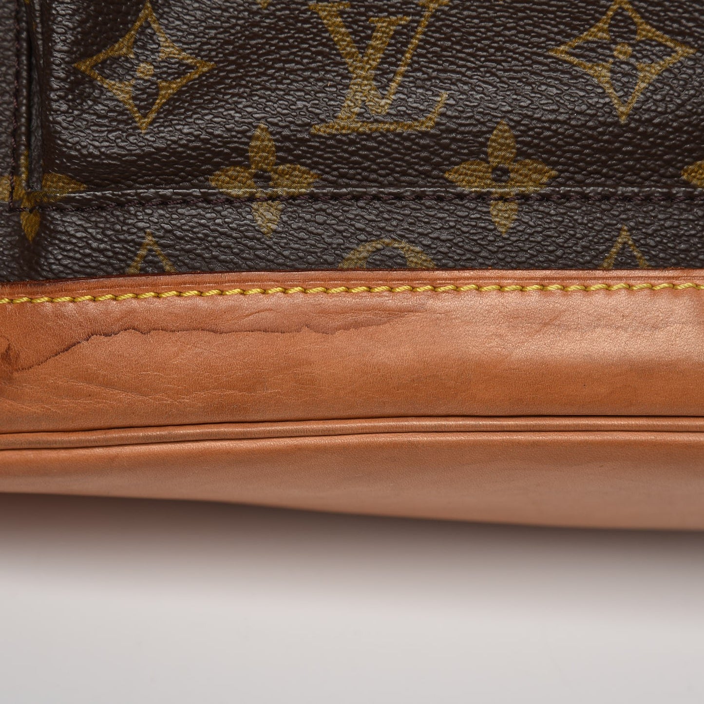 Monogram Montsouris GM Backpack
