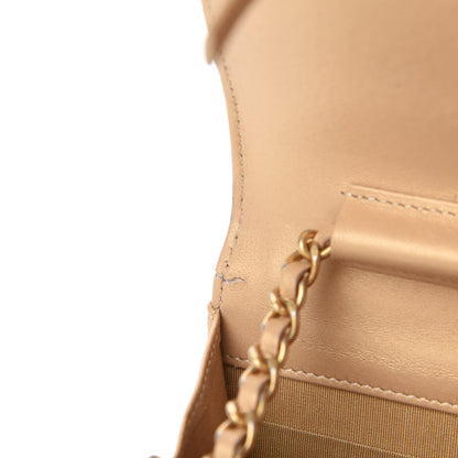 Chanel Metallic Galuchat Stingray Lambskin Boy Wallet On Chain WOC Gold 8 of 15
