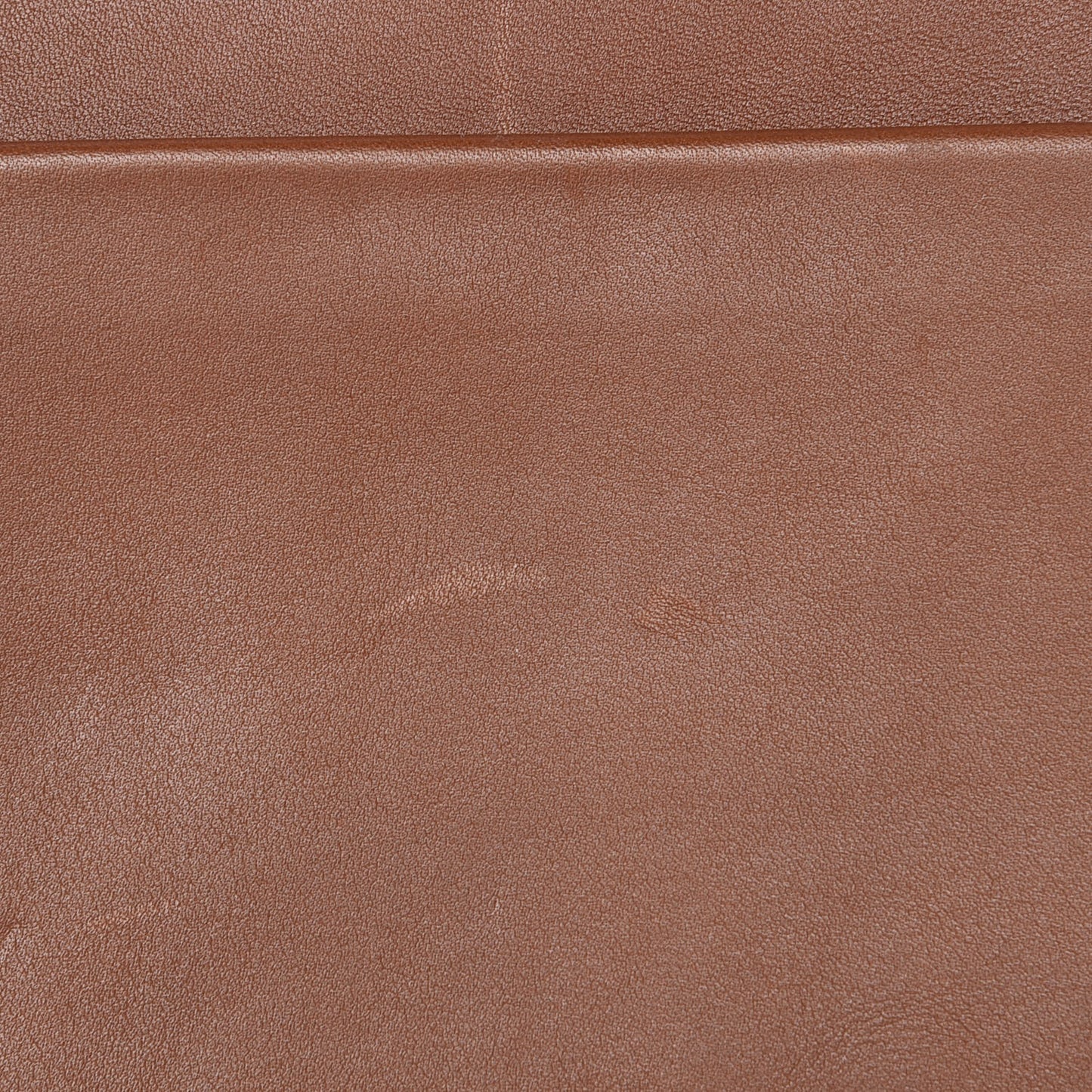 Supersoft Calfskin Small Trotteur Caramel