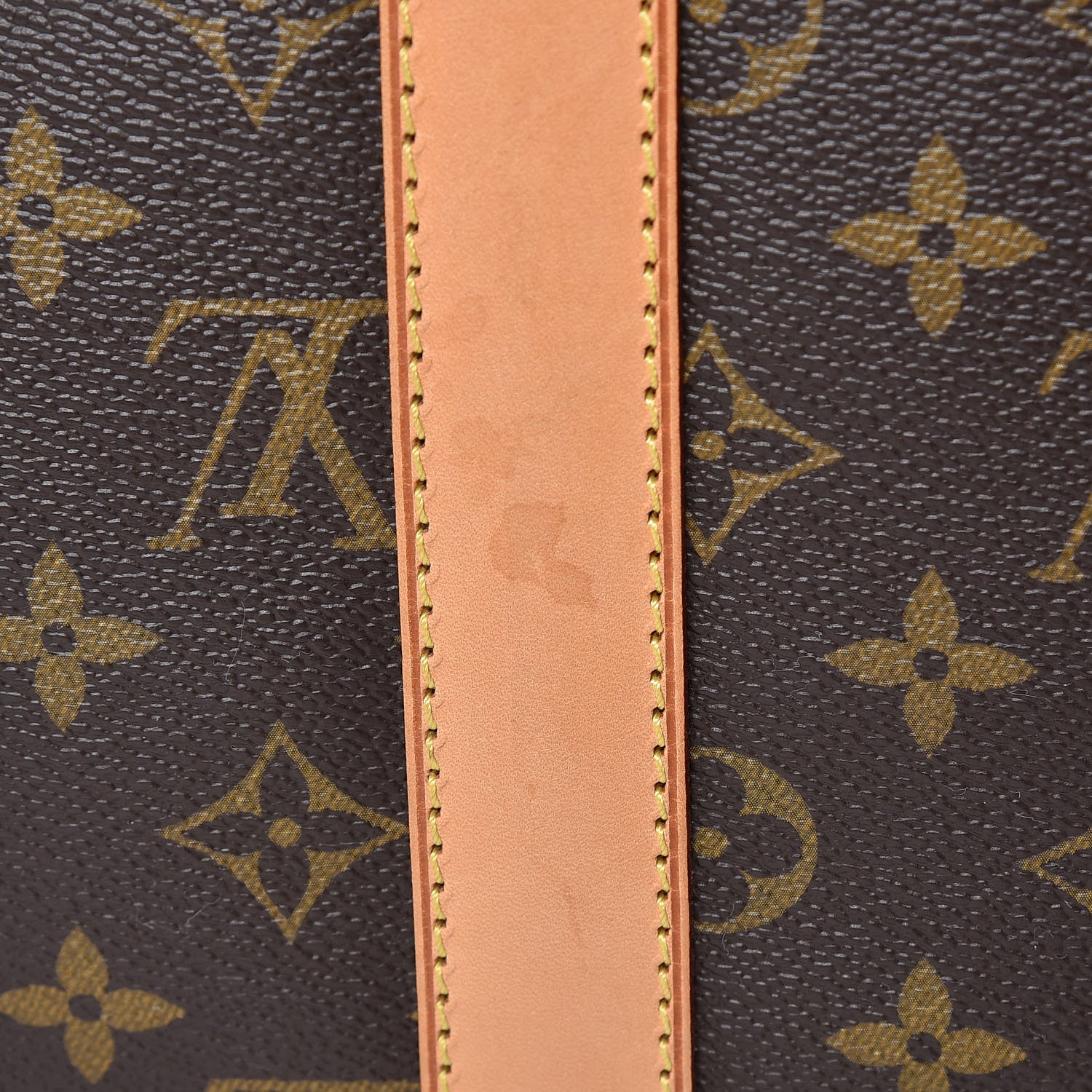 Louis Vuitton Monogram Sac Chien 50 Pet Carrier 16 of 22
