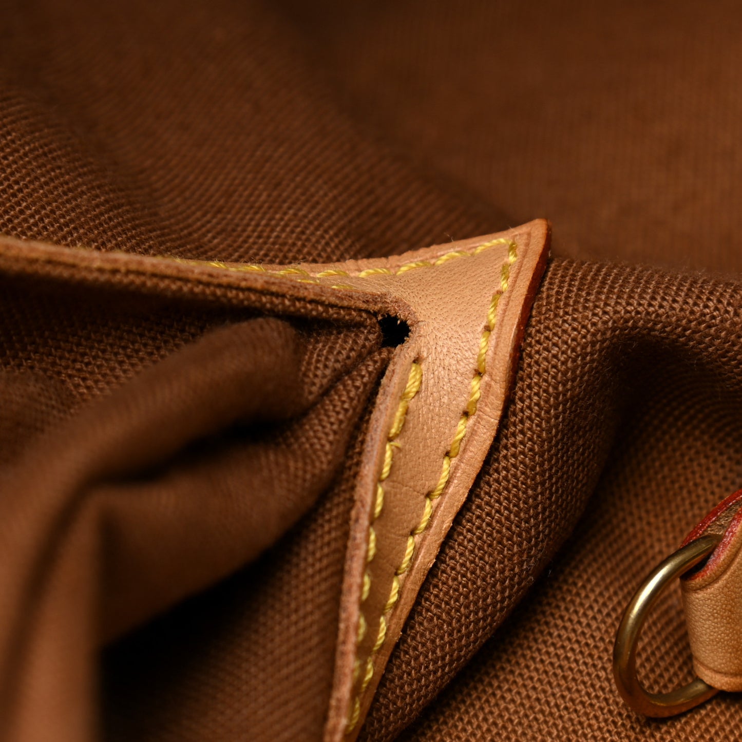 Monogram Montsouris GM Backpack