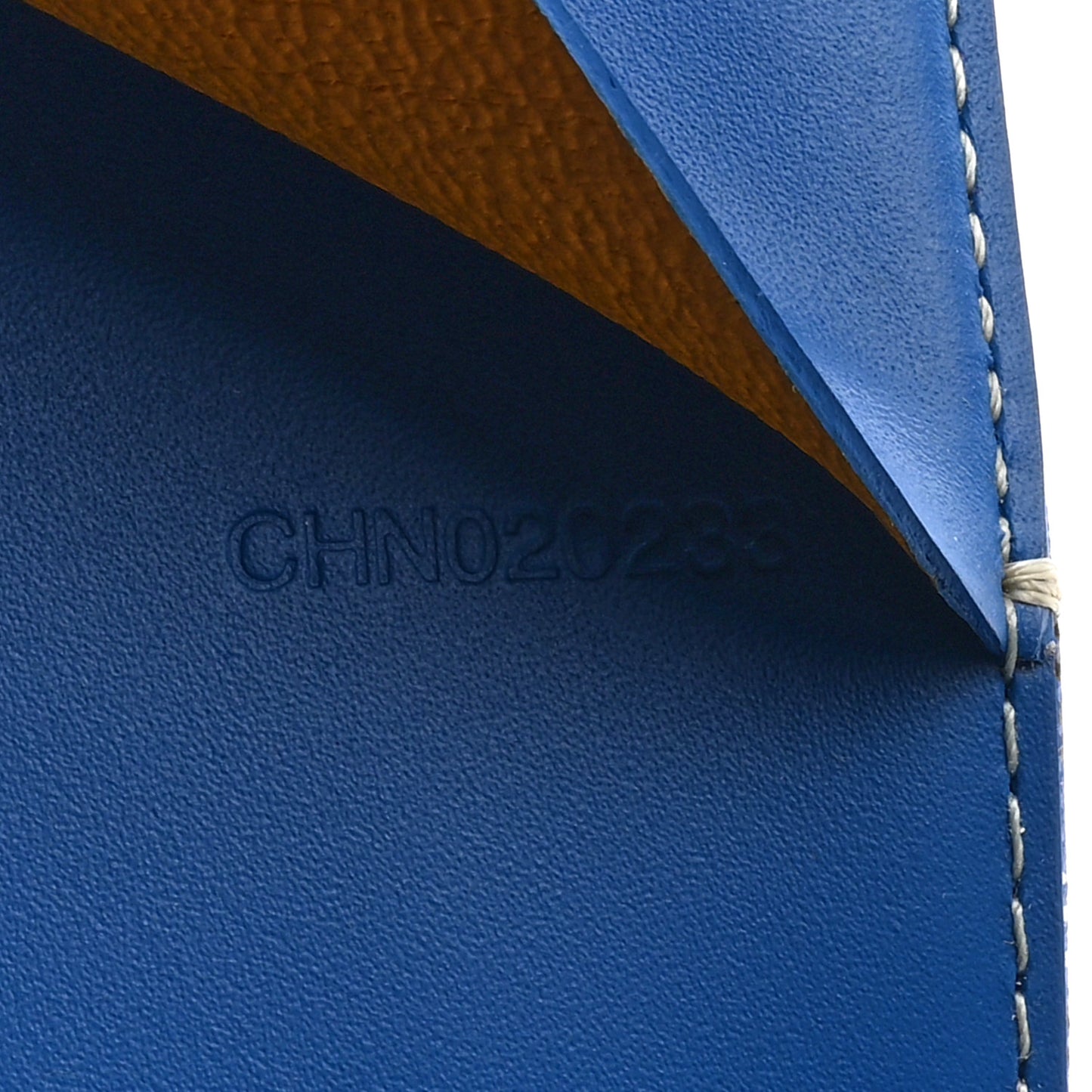 Goyardine Castiglione Document Cover Sky Blue