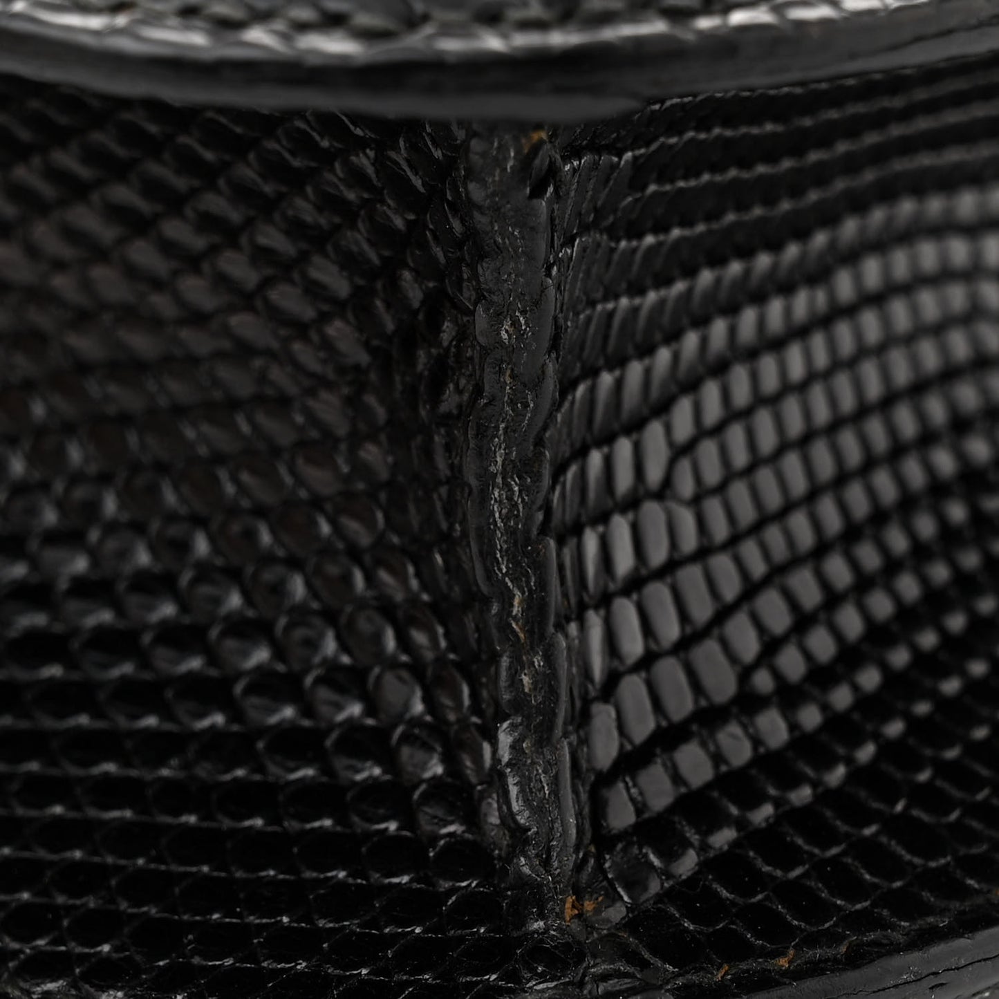 Lizard Constance 24 Black