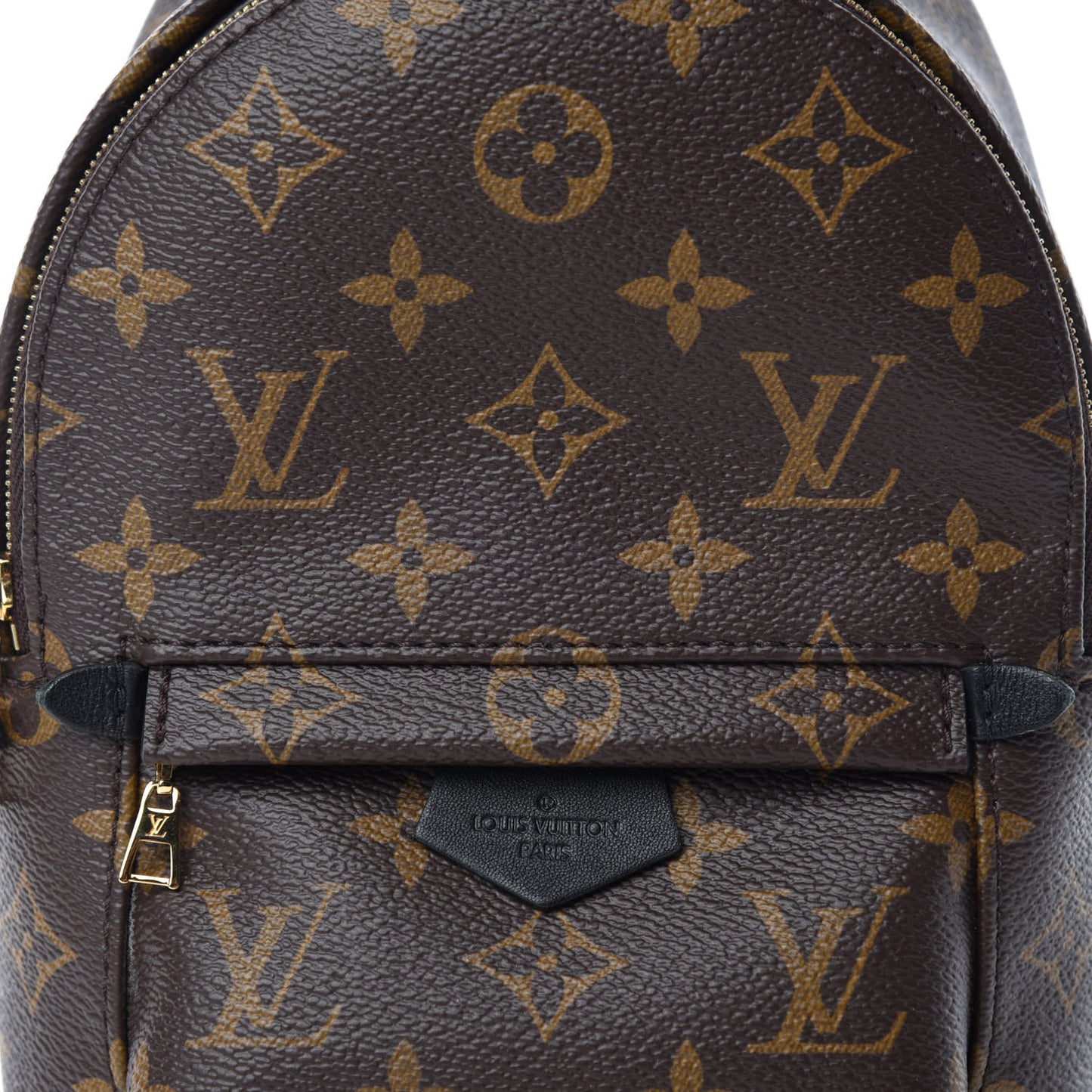 Monogram Palm Springs Backpack Mini