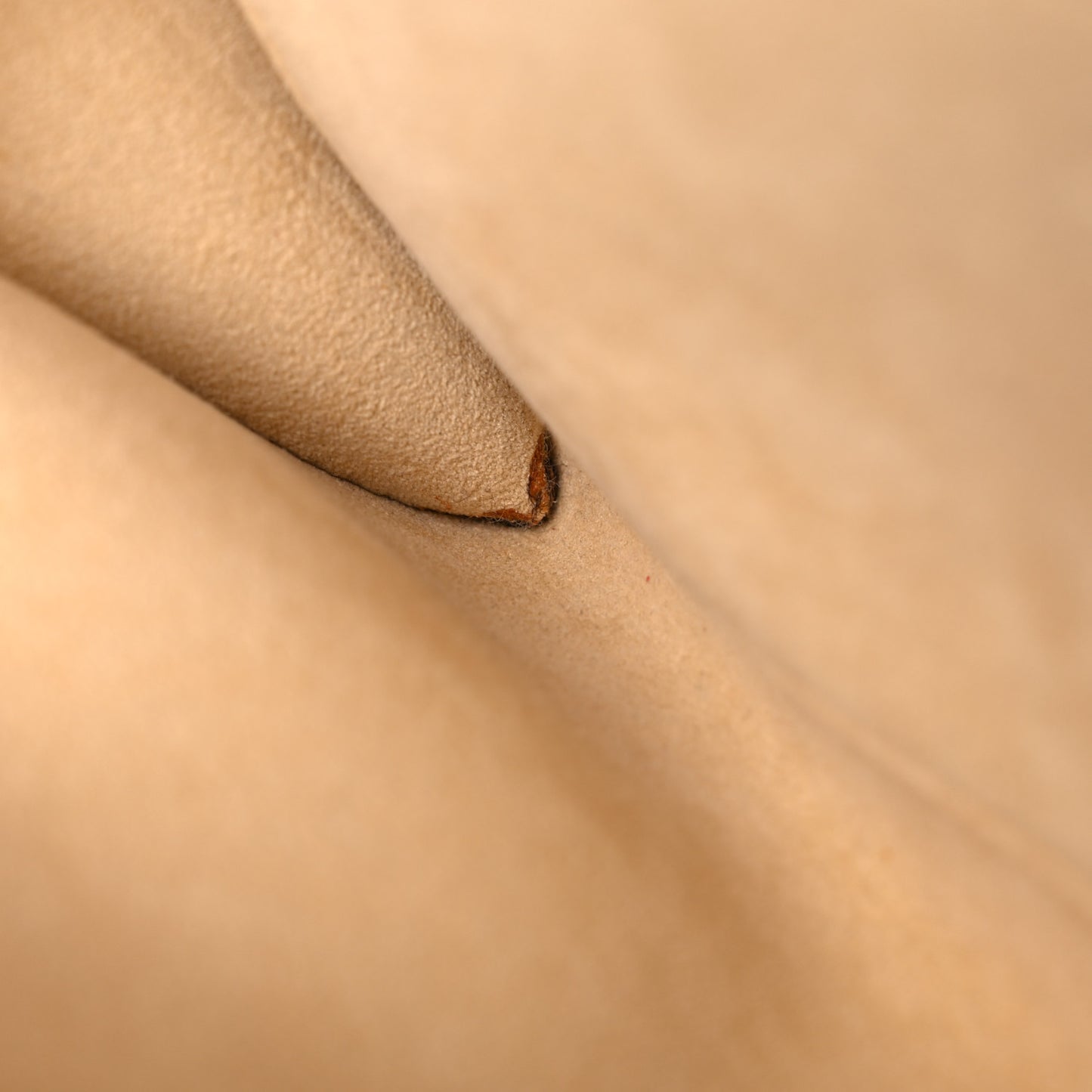 Monogram Pochette Twin GM