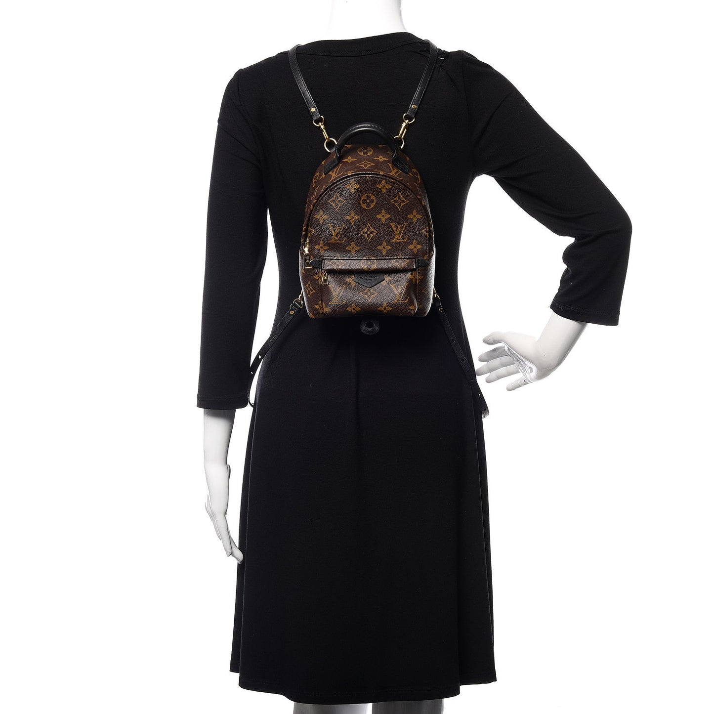 Monogram Palm Springs Backpack Mini