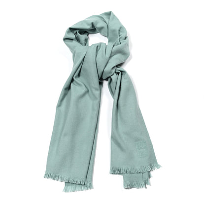 Hermes Cashmere Soft Stole Vert Tisane 1 of 4
