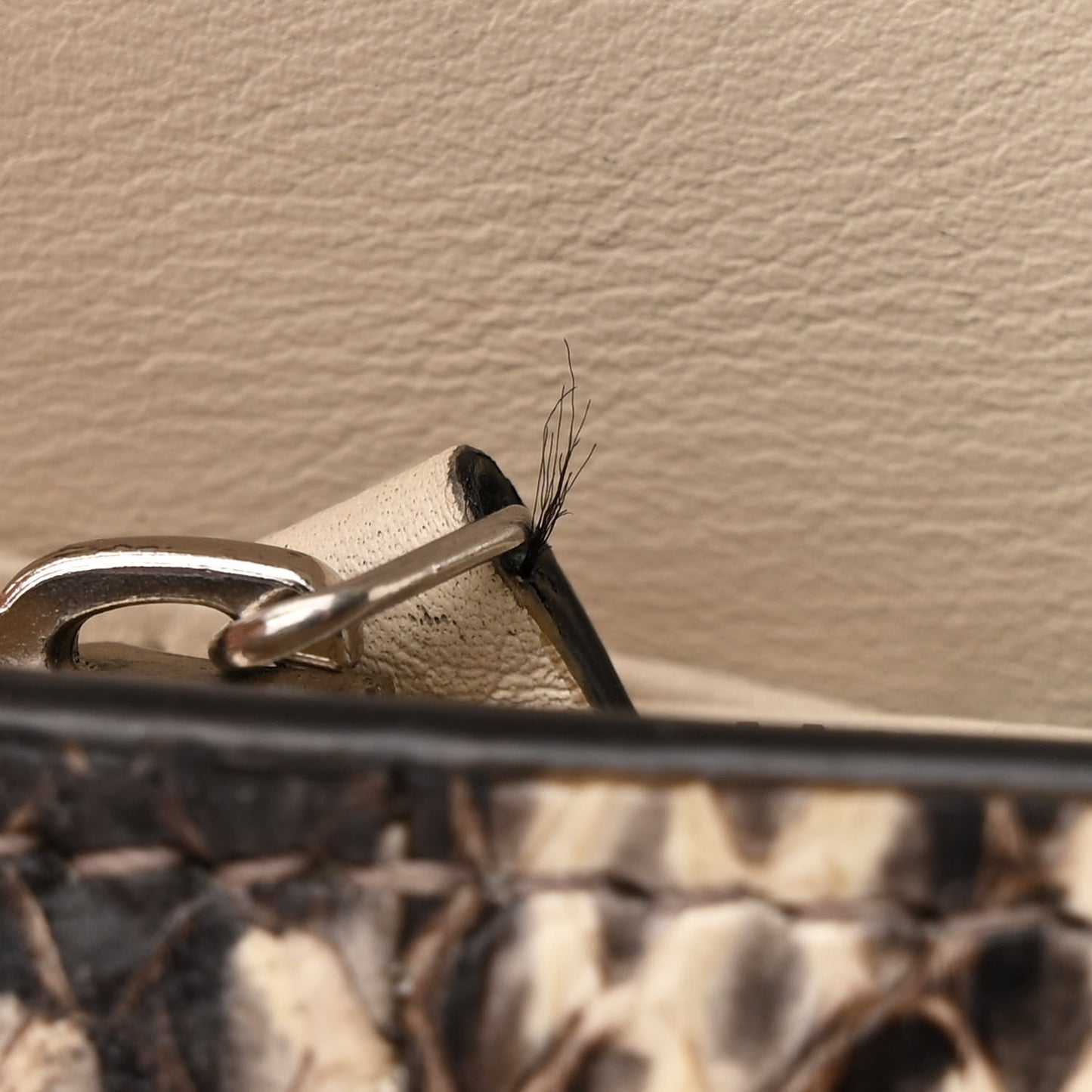 Watersnake Mini Dionysus Chain Wallet