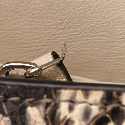 Gucci Watersnake Mini Dionysus Chain Wallet 15 of 16