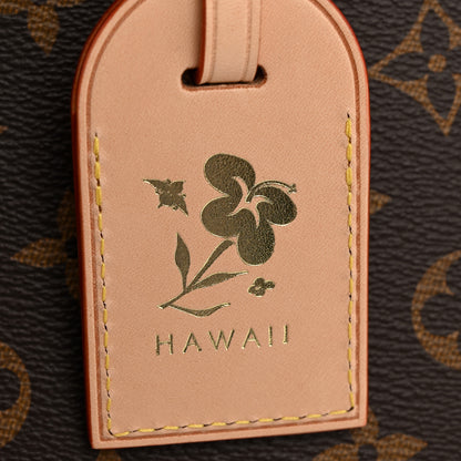 Louis Vuitton Monogram Grand Palais 11 of 12