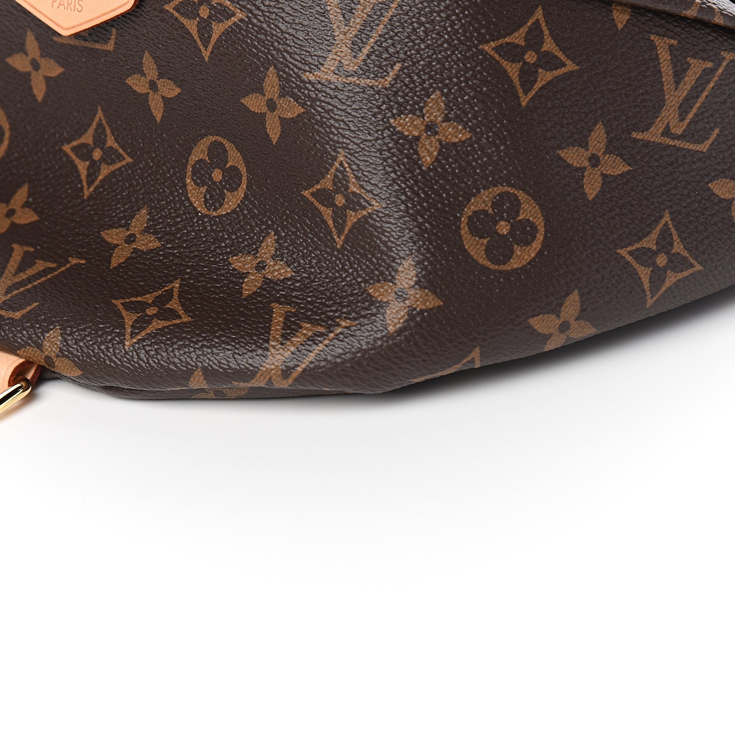 Louis Vuitton Monogram Bumbag 6 of 9