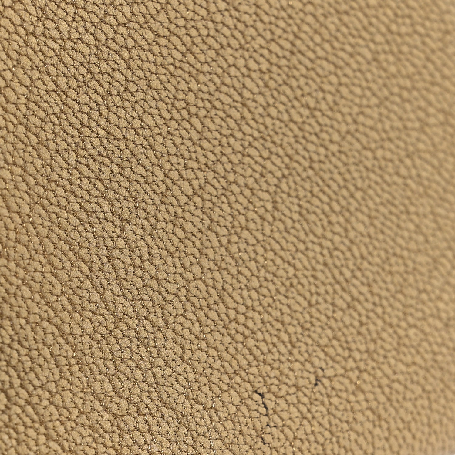 Hermes Metallic Chevre Chamkilight Iliade Card Holder Golden 9 of 10