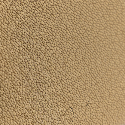 Hermes Metallic Chevre Chamkilight Iliade Card Holder Golden 9 of 10