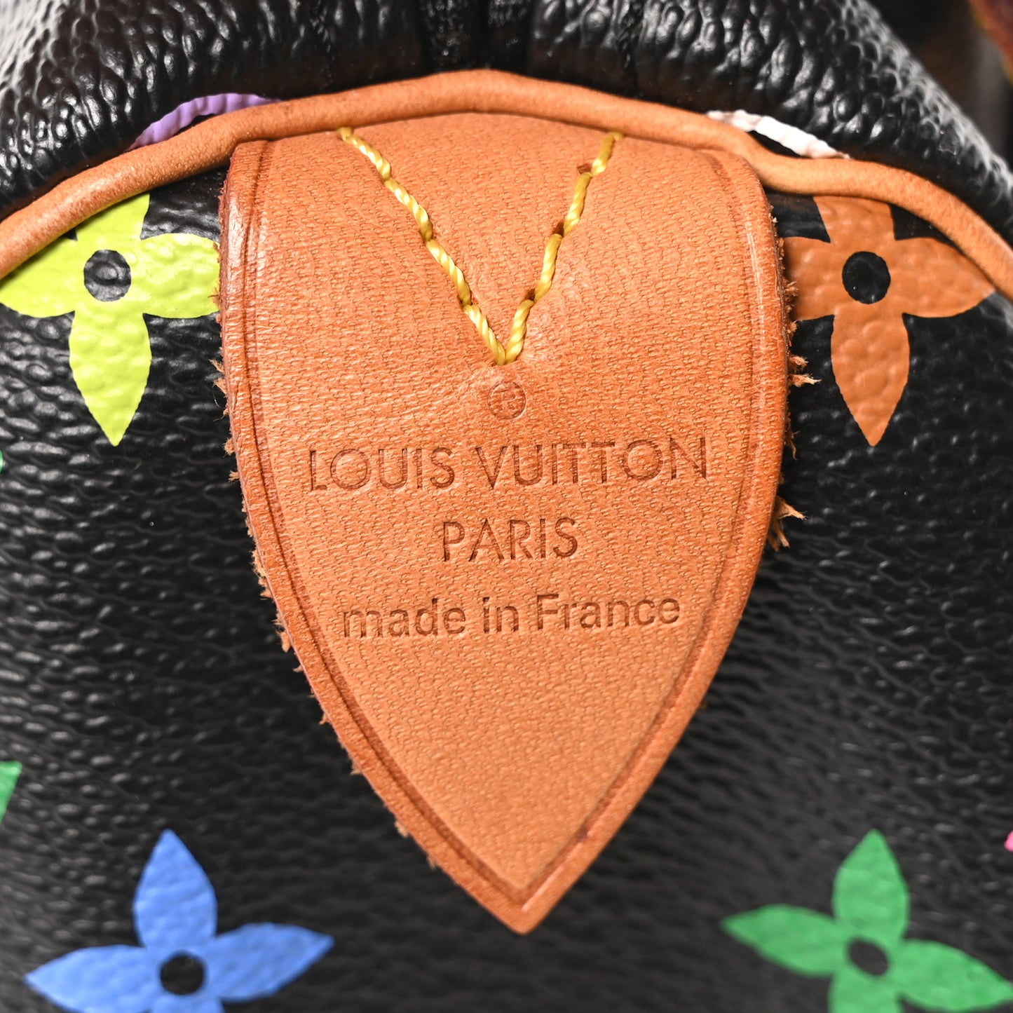 Monogram Multicolor Speedy 30 Black