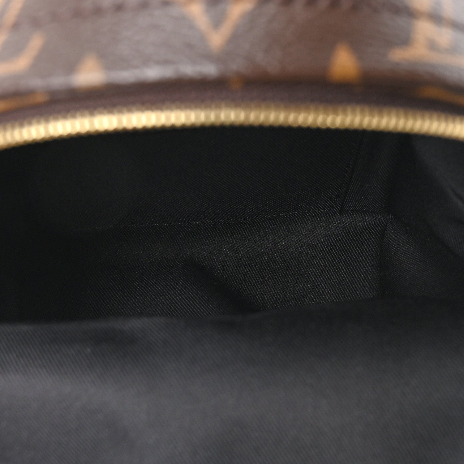 Louis Vuitton Monogram Palm Springs Backpack Mini 9 of 19