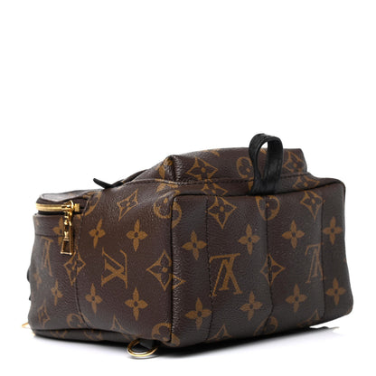 Louis Vuitton Monogram Palm Springs Backpack Mini 3 of 4