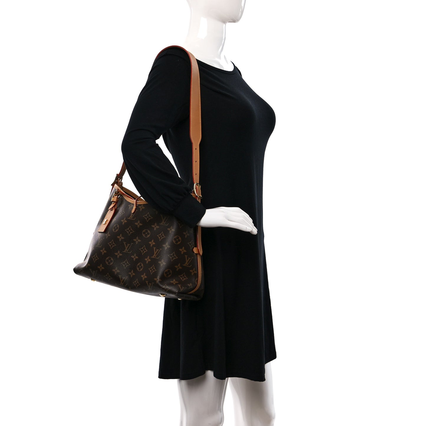 Monogram CarryAll PM
