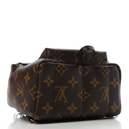 Louis Vuitton Monogram Palm Springs Backpack Mini 3 of 4