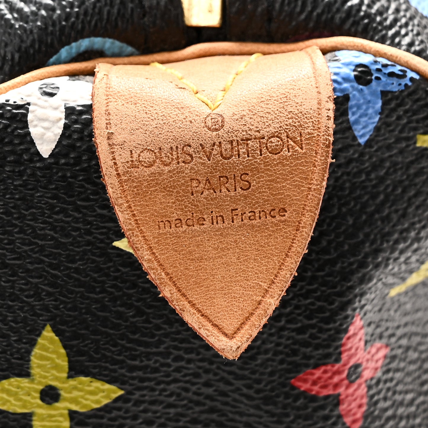 Monogram Multicolor Speedy 30 Black