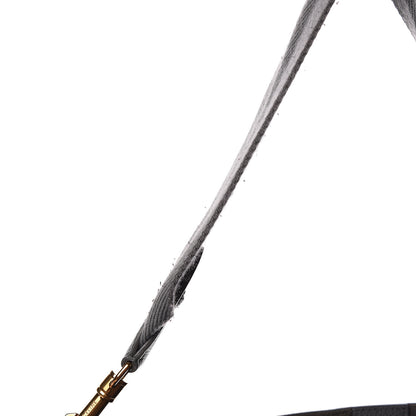 Celine Soft Grained Calfskin Sangle Bucket Bag Storm 9 of 25