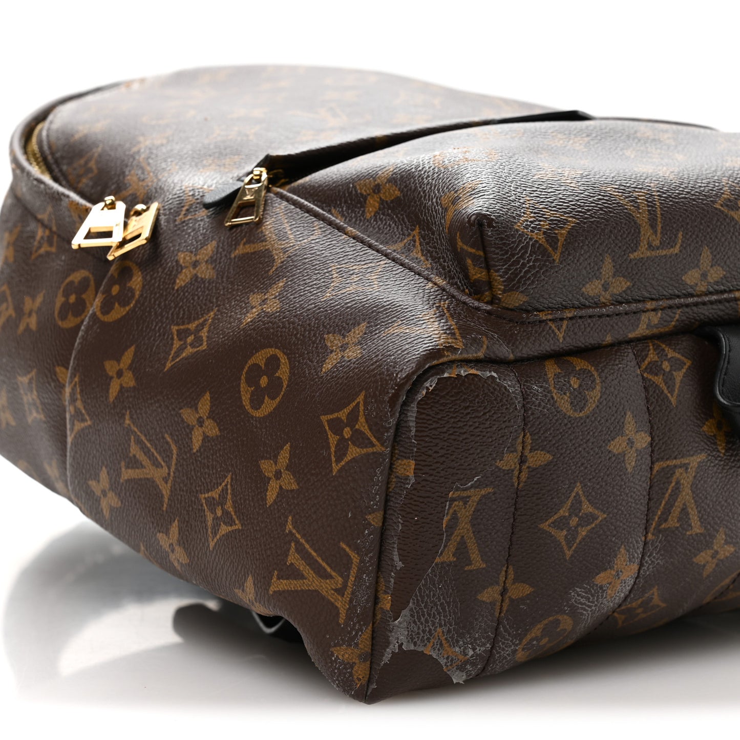 Monogram Palm Springs Backpack MM