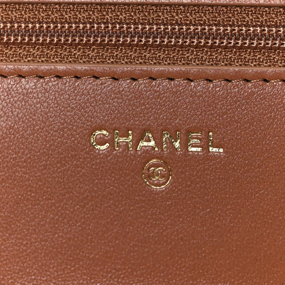 Chanel Lambskin Quilted Chanel 19 Wallet On Chain WOC Brown 11 of 13