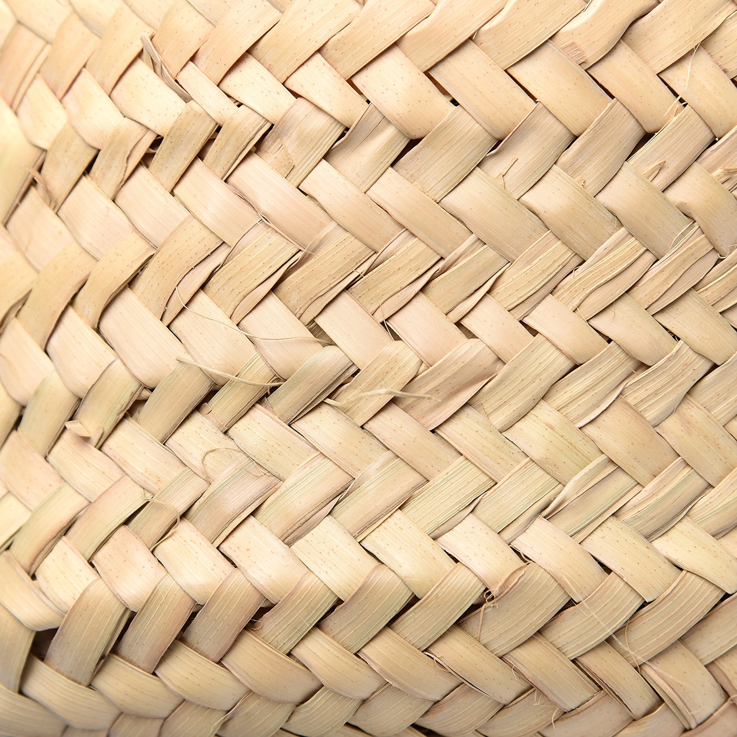 Raffia Basket Tote Bag Natural Tan
