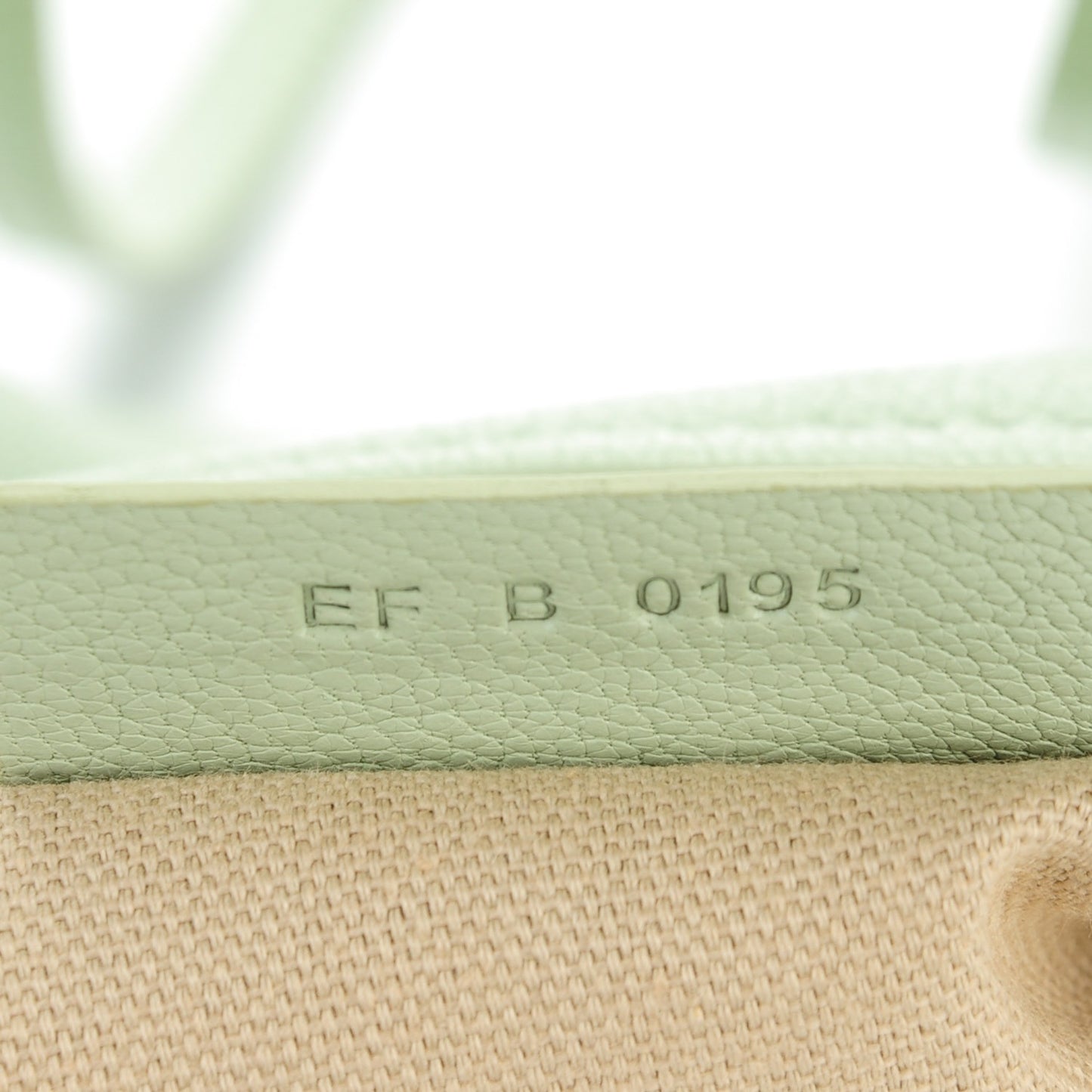 Sugar Goatskin Mini Pandora Aqua Green