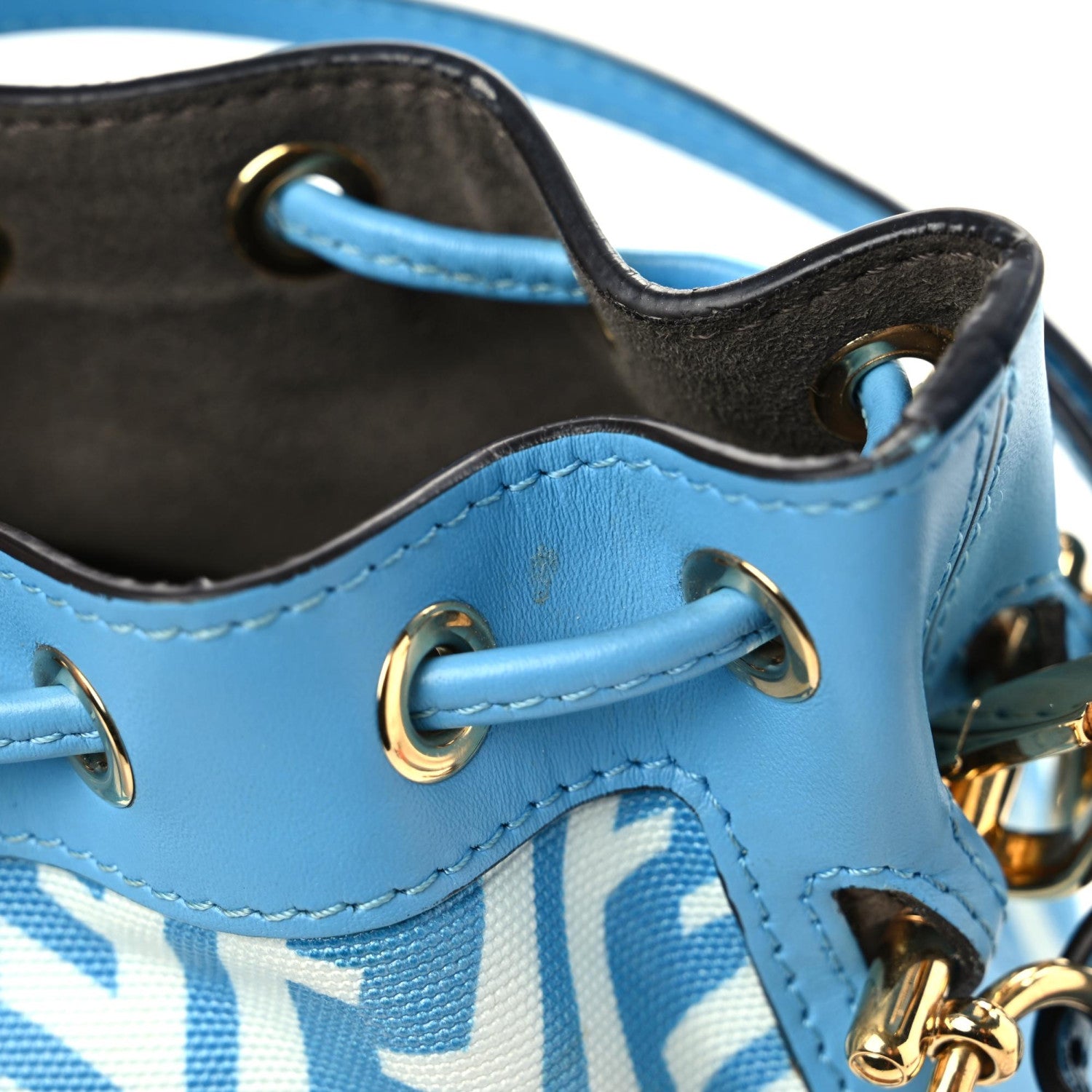 Fendi X SARAH COLEMAN Glazed Canvas Vitello King F is Fendi FF Vertigo Mini Mon Tresor Bucket Bag Cyber Blue White 14 of 16