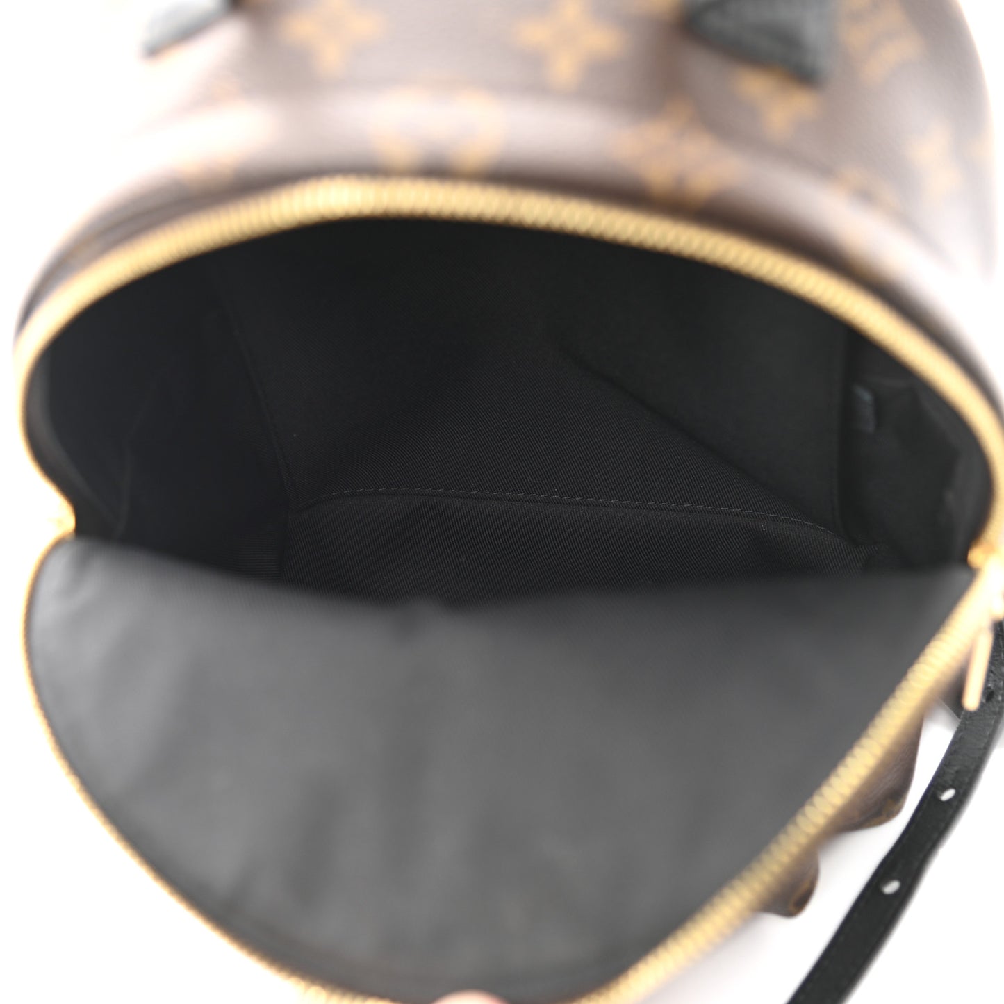 Monogram Palm Springs Backpack PM